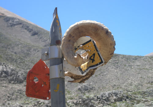 Crete walks: E4-trail sign to Pachnes